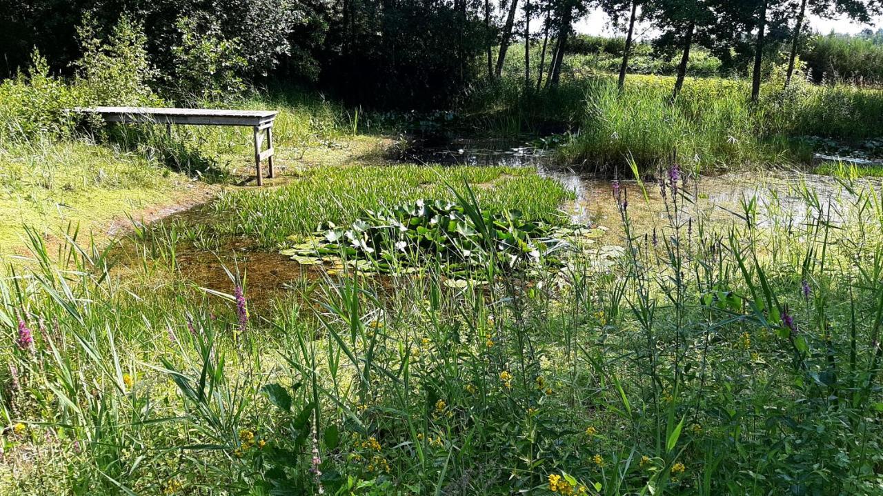 Villa Kievit Appelscha Esterno foto