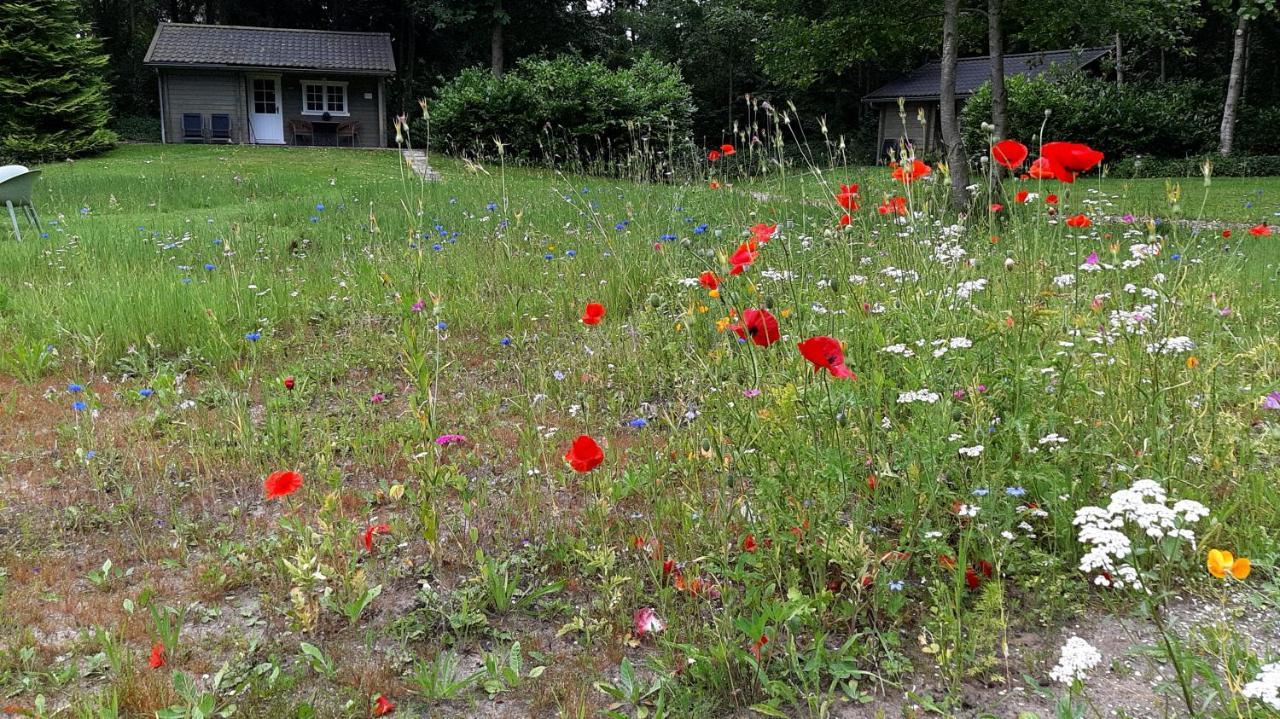 Villa Kievit Appelscha Esterno foto
