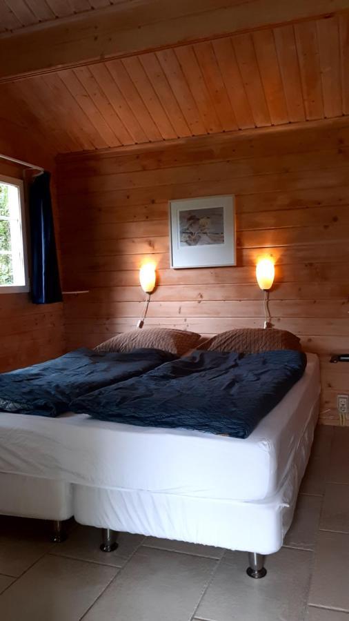 Villa Kievit Appelscha Esterno foto
